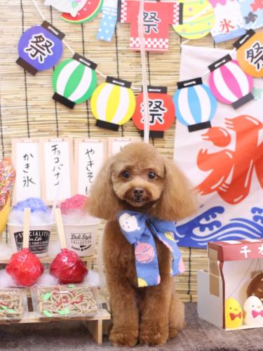 20240713このはちゃん